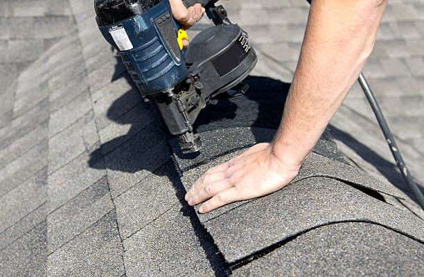 Best Roof Maintenance and Cleaning  in Chester, IL